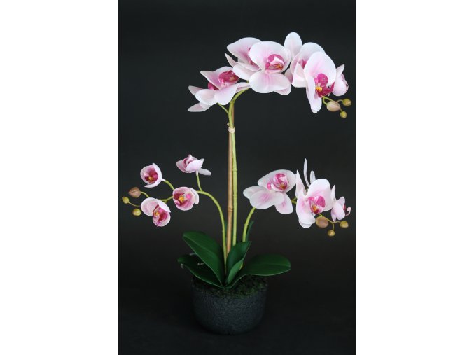 Orchid Phalaenopsis Foam Base 50 cm Pink 5686PNK