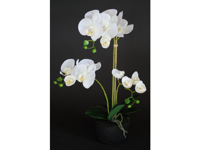 Orchid Phalaenopsis Foam Base 50 cm White 5686WHT