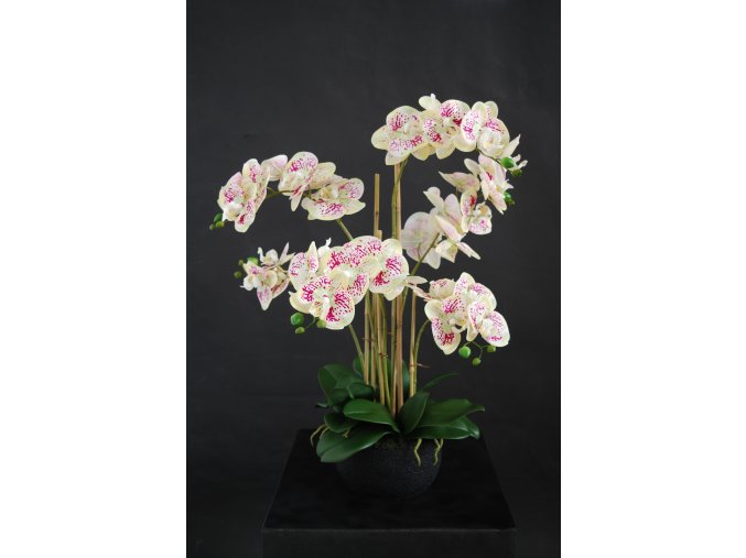 Orchid Phalaenopsis Foam Base 70 cm Leopard 5684LEO