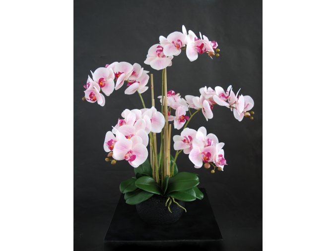 Orchid Phalaenopsis Foam Base 70 cm Pink 5684PNK