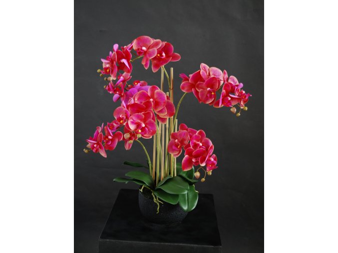 Orchid Phalaenopsis Foam Base 70 cm Purple 5684PUR