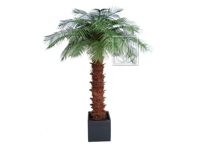 Umělá palma Olejná (Varianta 240cm)