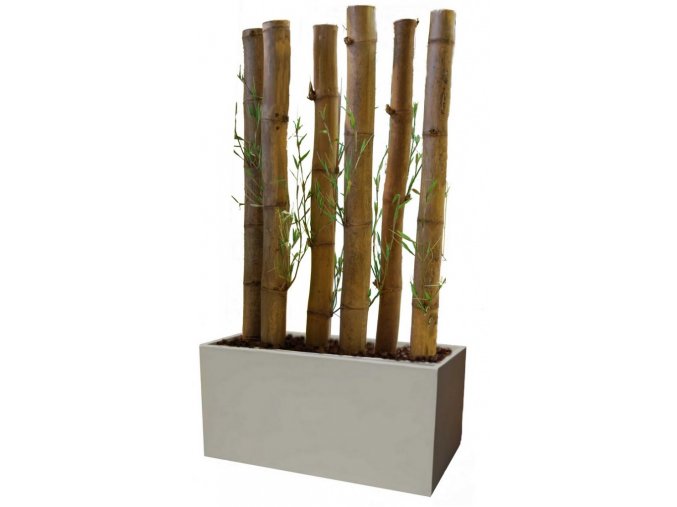 Umělý strom Bambusová stěna