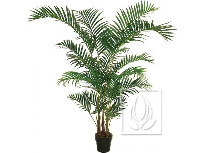 Umělá palma Areca Elegant (170cm)