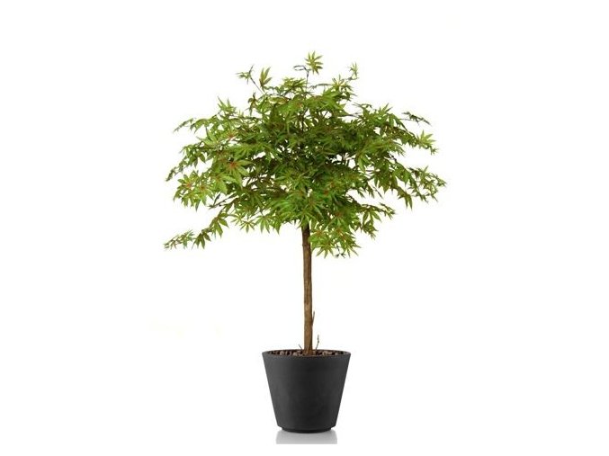 8485 umely strom maple topiary 120cm multicolor