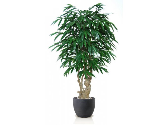 Umělý strom Longifolia Malabar (Varianta 150cm)