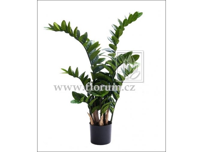 Umělá rostlina Zamioculcas (85cm)