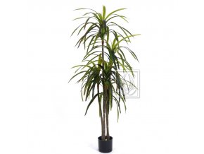 Umělá rostlina Dracena (155cm)