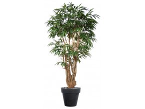 10936 umely strom longifolia malabar lux 250cm