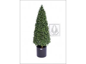 Umělý strom Buxus Cone (Varianta 150cm)