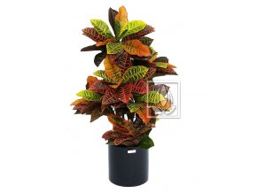 Umělá rostlina Croton (90cm)
