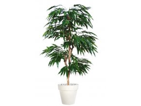 Umělý strom Longifolia Multistep (výška 220cm)