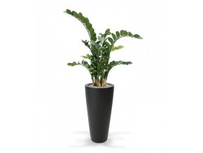 Umělá rostlina Zamioculcas (100cm)