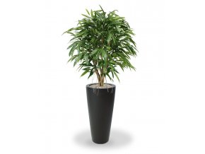 109412 longifolia xl deluxe 120 tondo alto 70 antraciet