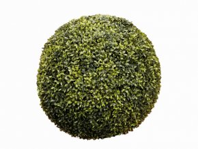 Umělý buxus