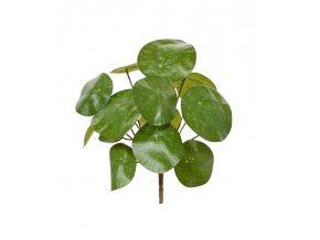 Umělá rostlina Pilea (25cm)