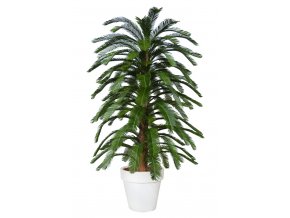 Cycas Florida 230 cm Green V4222A16