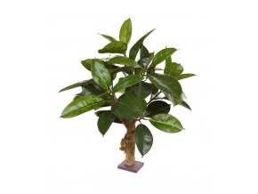 Umělý strom Ficus Elastica - na kmeni  (70cm)