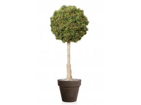 Boxwood Mini Topiary Ø 55 h 140 cm Green V5639003