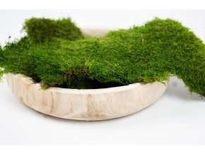 preserved flat moss 26d