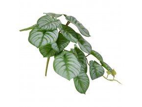 Umělá rostlina Peperomia bukett (20cm)