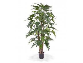 152514 philodendron xanadu deluxe 140