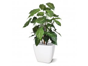 syngonium deluxe kunstplant 85 cm 151285 5