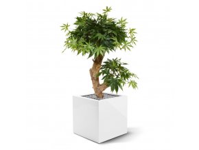 acer kunst bonsaiboom 60 cm groen 153206 4 1
