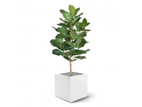 lyrata royal kunstplant 90 cm 102609 5