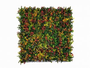 Leucadendron multi color Kunsthaag 50x50cm mat Kunsthaagvoordeeljpg