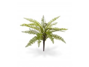 408103 asplenium varen boeket 35 3