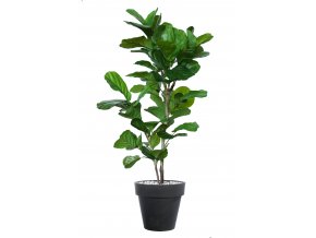 Ficus Lyrata Wild Tree Lux 200 cm Green V5660001