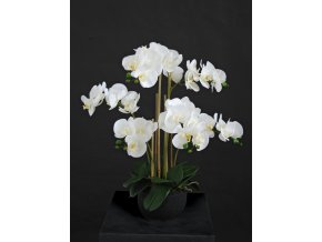 Orchid Phalaenopsis Foam Base 70 cm White 5684WHT