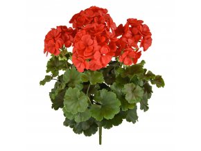 Geranium XL 40 rood 444104UVRD 1