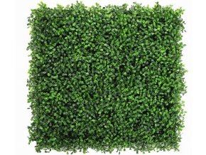 Buxus mix green 13400