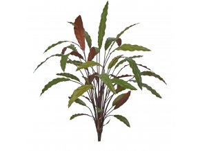 152107 Calathea Kunstplant 70cm Groen rood