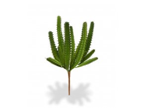 AnyConv.com 406202 euphorbia mini cactus boeket 20 2