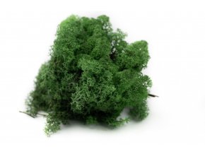 preserved lichenreindeer moss 25q