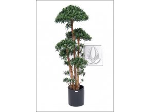 Umělý strom Podocarpus Tempel (180cm)