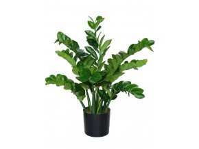 Zamiifolia Robusta w pot 90 cm Green 5501GRN