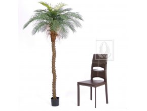 Umělá palma datlová Senegal (200cm)