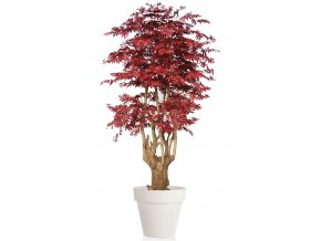 Maple Malabar Lux 250 cm Burgundy V1046B36(1)