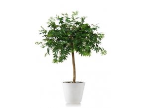 8488 umely strom maple topiary 120cm zeleny