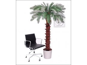 Umělá palma Cycas (Varianta 210cm)