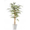 Bamboo Japanese Tree 150 cm Variegated V1054V05 (1)