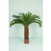 Cycas Palm w pot 160 cm Green 5405GRN