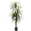 Umělá rostlina Dracena (155cm)