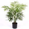 Umělá palma Areca (60cm)