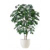 10843 umely strom buxifolia natural style 180cm