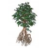 10846 umely strom buxifolia root giant 250cm